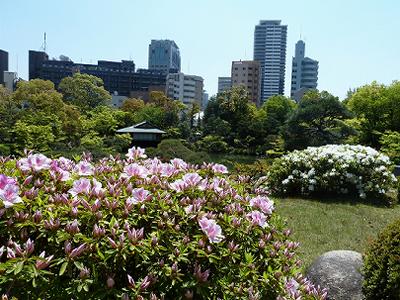 相楽園のつつじ　_b0051598_22204214.jpg