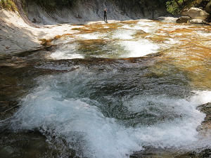 e0246398_23101244.png