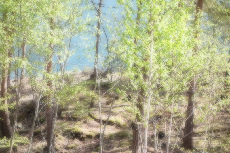 a0248700_1743941.jpg