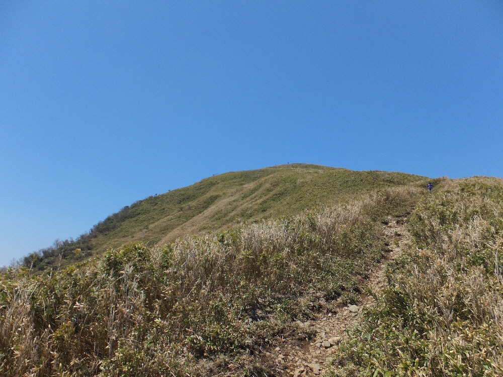 a0271502_21555252.jpg