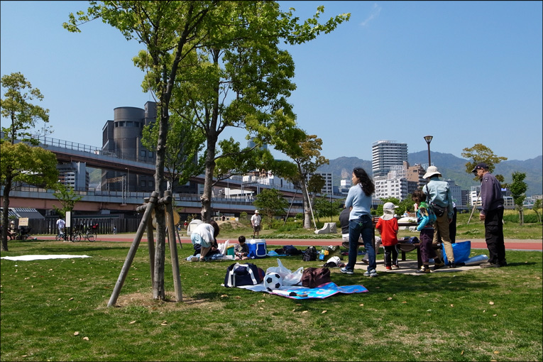 今年最初のピクニックは『みなとの森公園』_c0102003_17324127.jpg