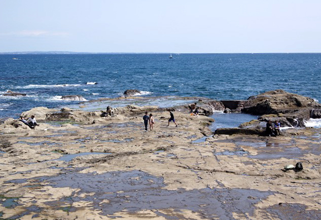 e0039703_23483592.jpg