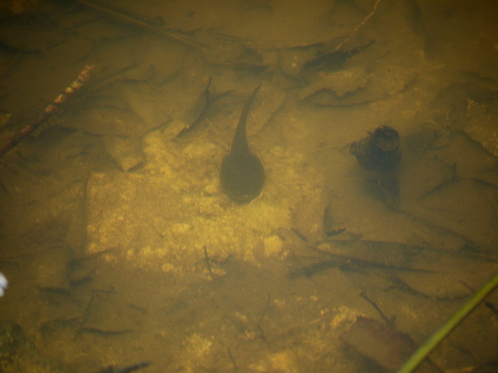 d0010008_0484540.jpg