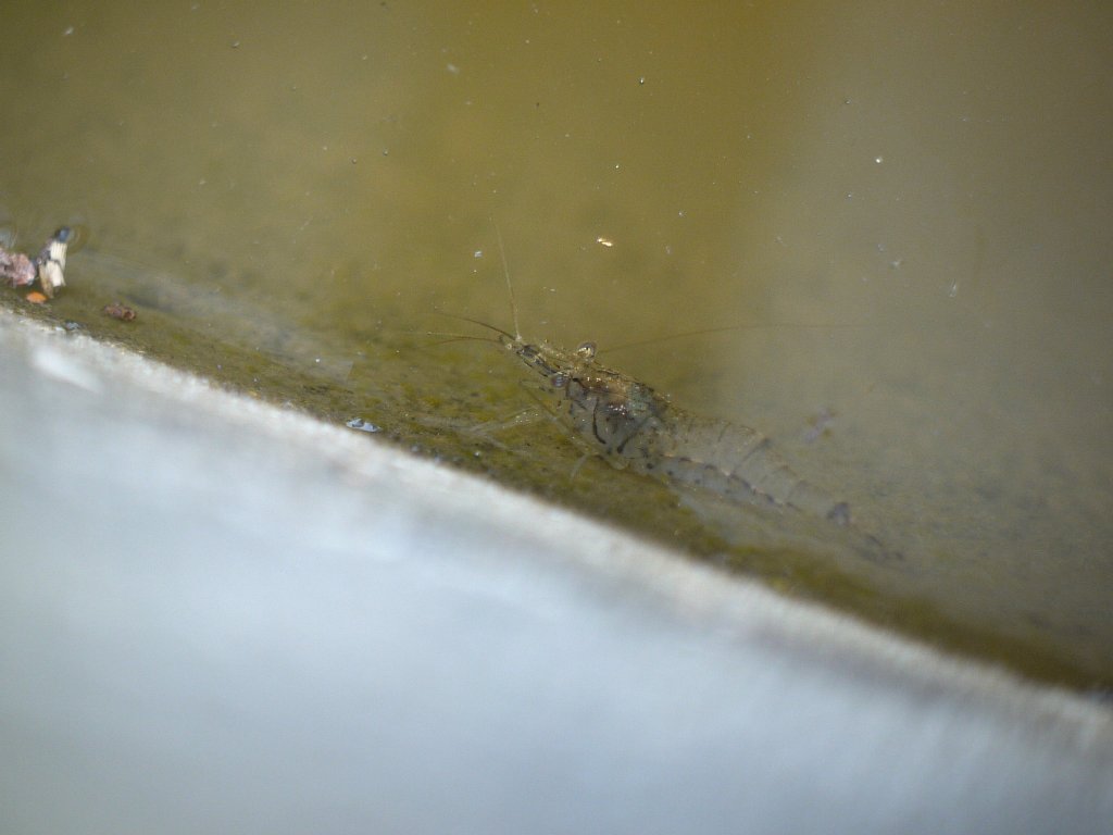 d0010008_04997.jpg