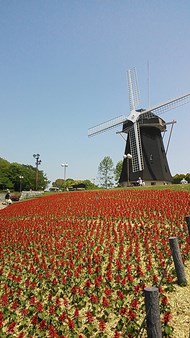 d0217110_0494695.jpg