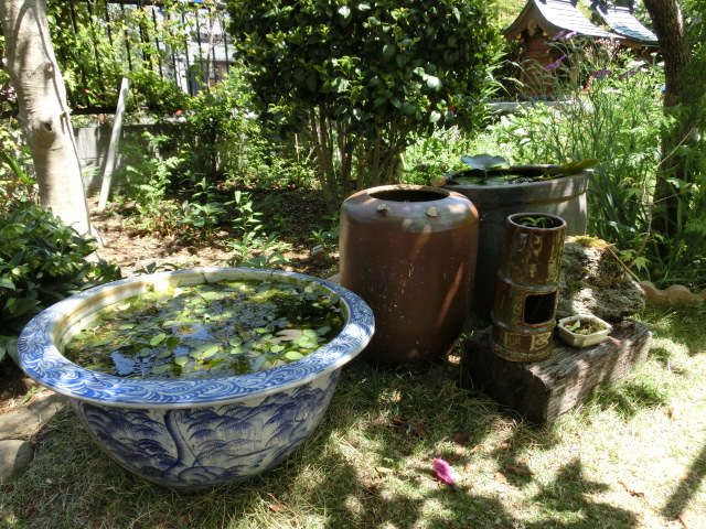富士市オープンガーデン2013 早速見学に出かけました!_f0141310_8275159.jpg