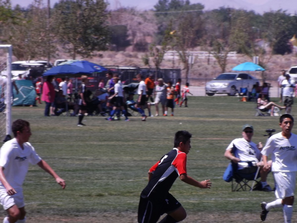 a0144811_0104237.jpg