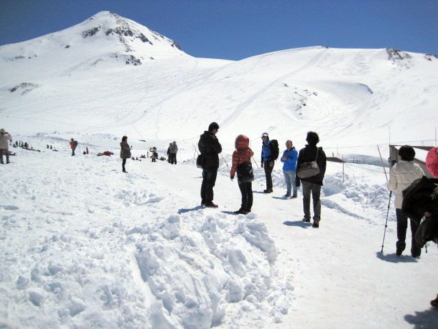 e0114015_1729620.jpg