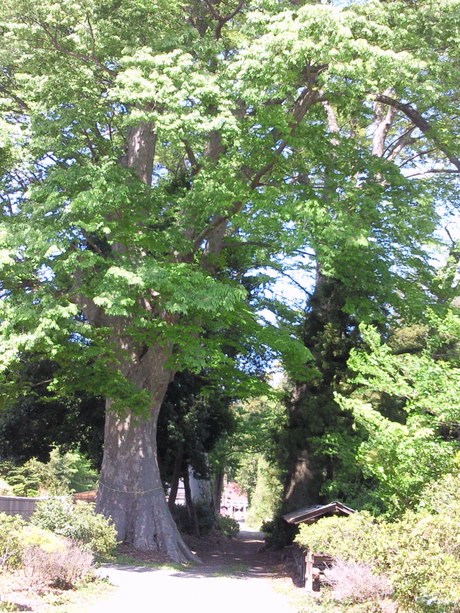 b0228416_21381068.jpg