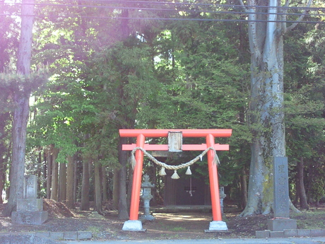 b0228416_224021.jpg