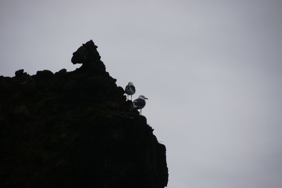 念仏トンネルから神威岬灯台への道 写心 Dgsm