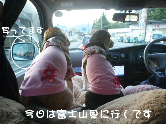c0166622_9572938.jpg