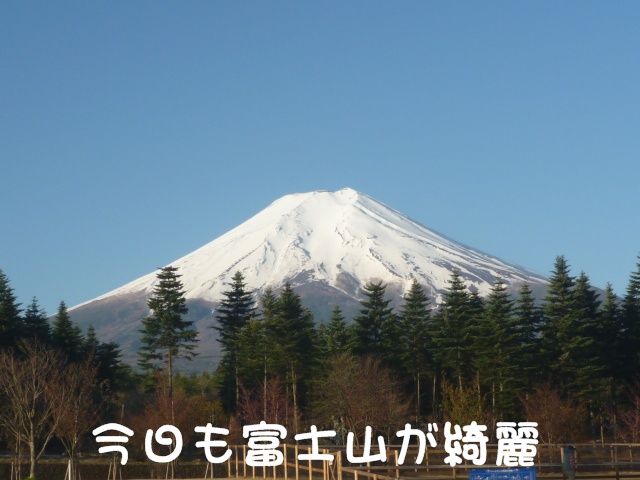 c0166622_959574.jpg