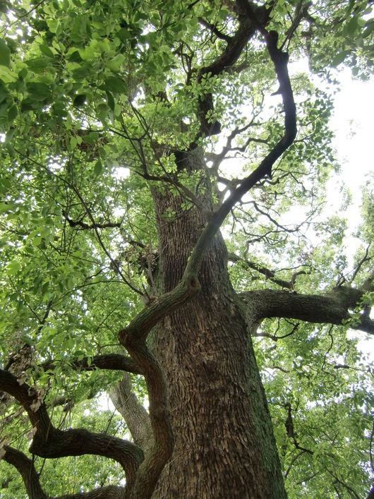 e0240129_14103640.jpg
