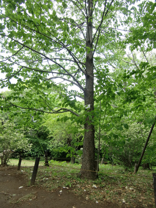 e0240129_14125370.jpg