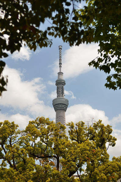 東京スカイツリー_b0175635_2217345.jpg