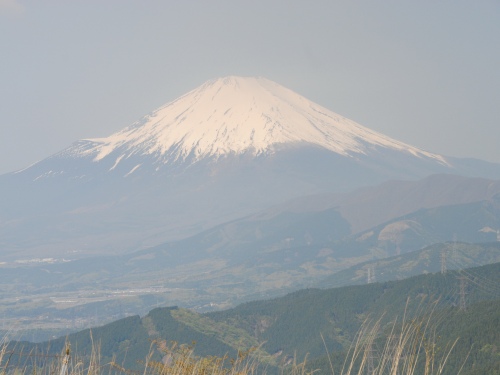 a0048040_753436.jpg