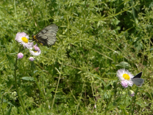 d0254540_1729165.jpg