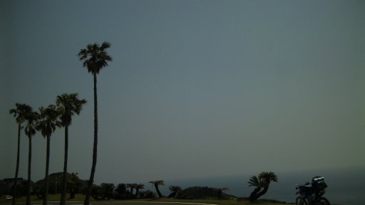 d0035444_1684573.jpg