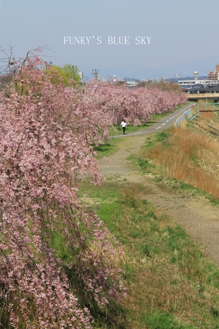 c0145250_1454234.jpg