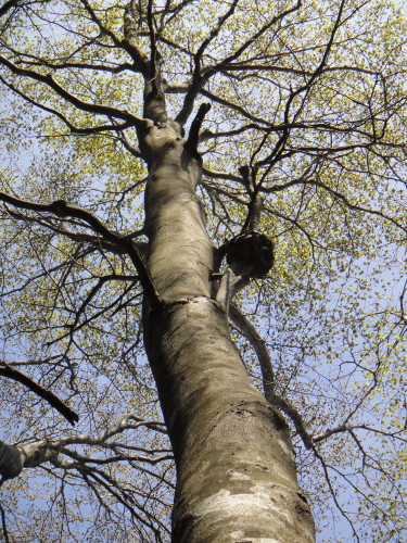 c0179351_85721.jpg