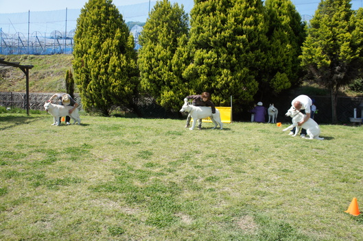 e0310553_9185779.jpg