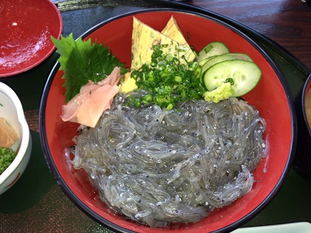 焼津最高!_c0176257_18291378.jpg