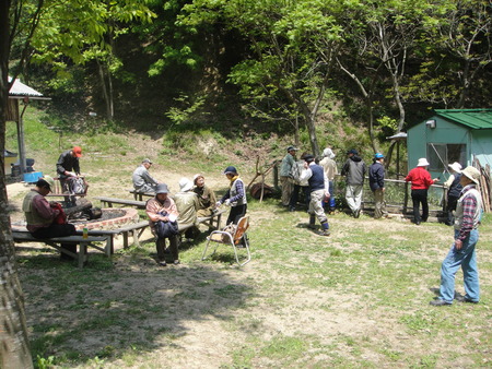 孝子の森の植物観察　　＆　　ボランティア３グループ交流会_c0108460_21395710.jpg