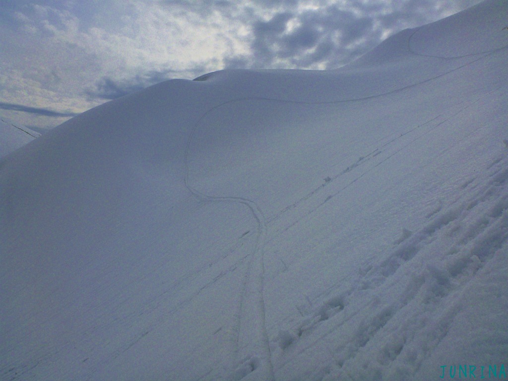 d0110562_22564810.jpg