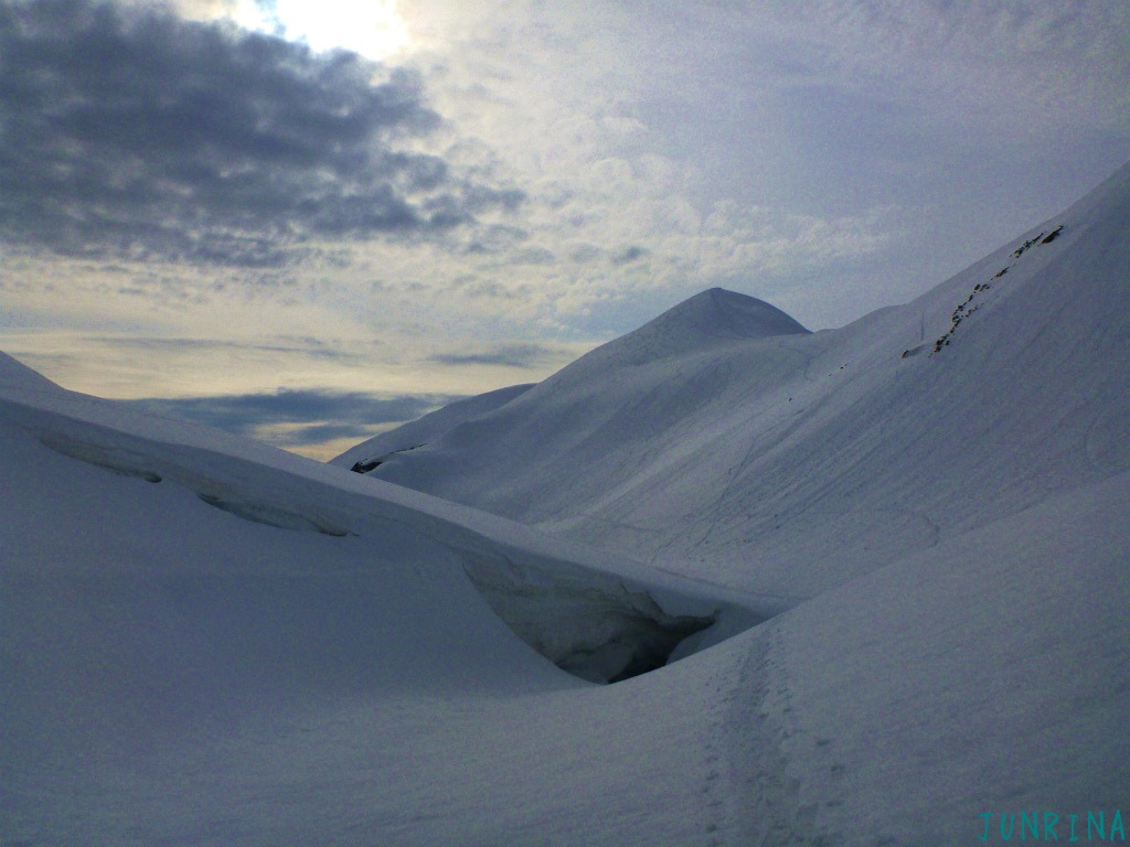 d0110562_230149.jpg