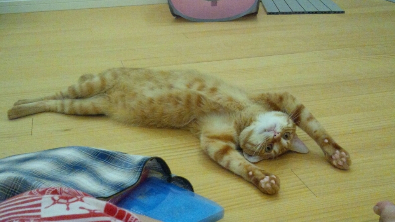 お久しぶりの_a0201967_15501296.jpg