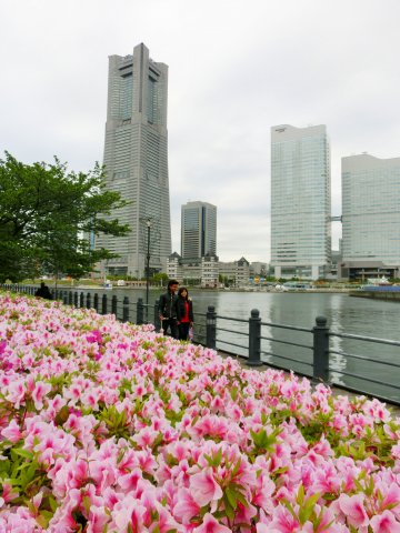 e0045768_2271416.jpg