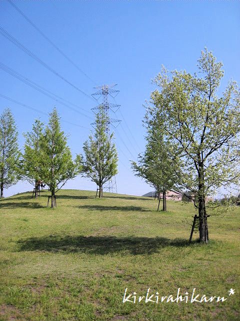 e0173670_815212.jpg