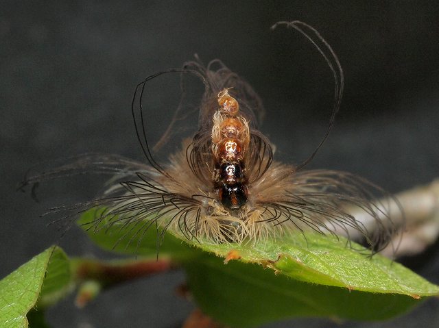 b0135573_20154932.jpg