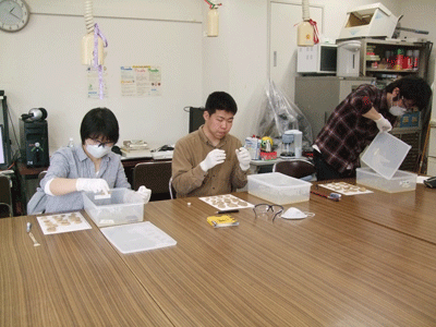 c0152274_17233382.gif