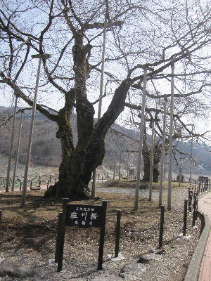 c0171889_1926136.jpg