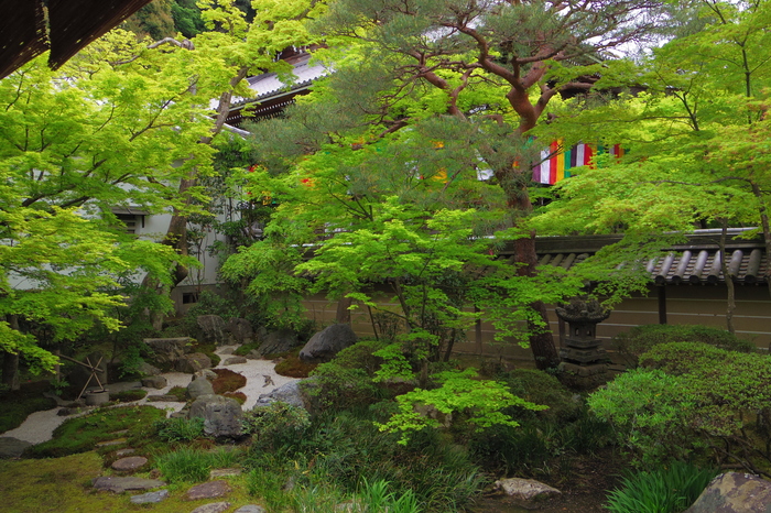 a0127090_22524358.jpg
