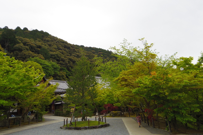 a0127090_2301499.jpg