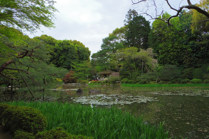 春の京都散策@平安神宮 4/20_a0127090_9513855.jpg