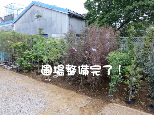 そうだ 安行、行こう。_b0200291_2131156.jpg
