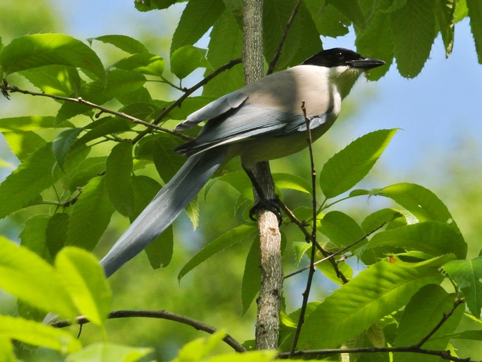 a0223993_2250365.jpg