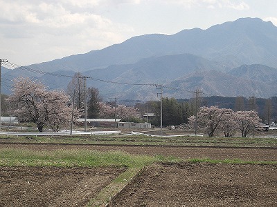 a0146295_15294814.jpg