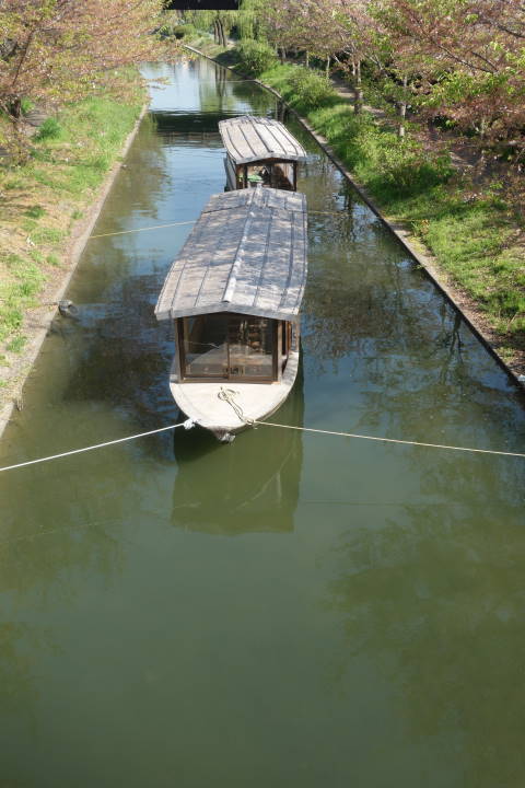 d0069495_2051613.jpg
