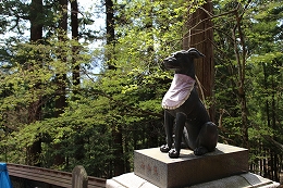 e0227996_03844.jpg