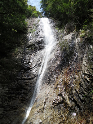 e0246398_15495656.png