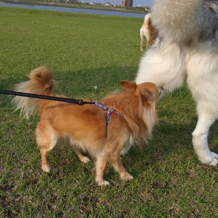 生きてますw_c0049299_20135815.jpg