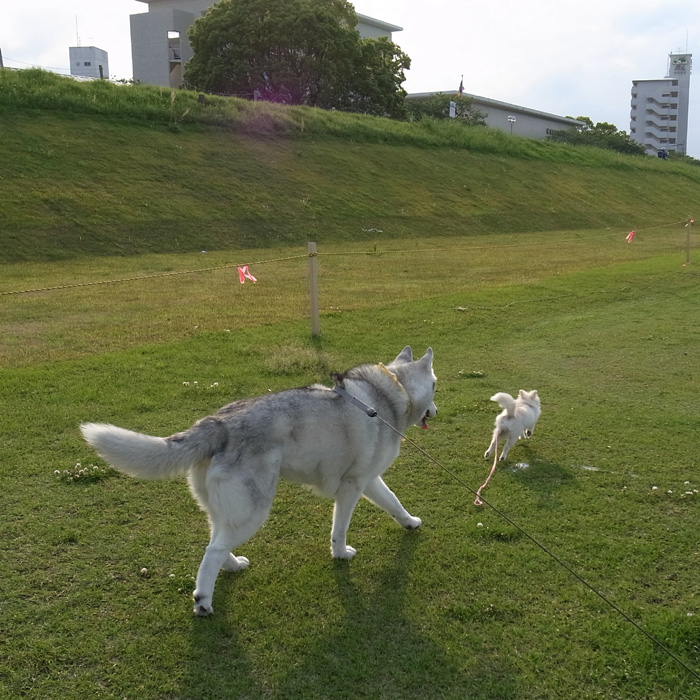 生きてますw_c0049299_20275131.jpg