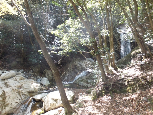 a0271502_925046.jpg