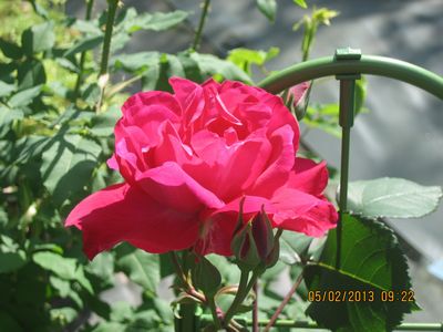 a0276402_14132438.jpg