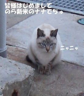 c0295404_20222336.jpg